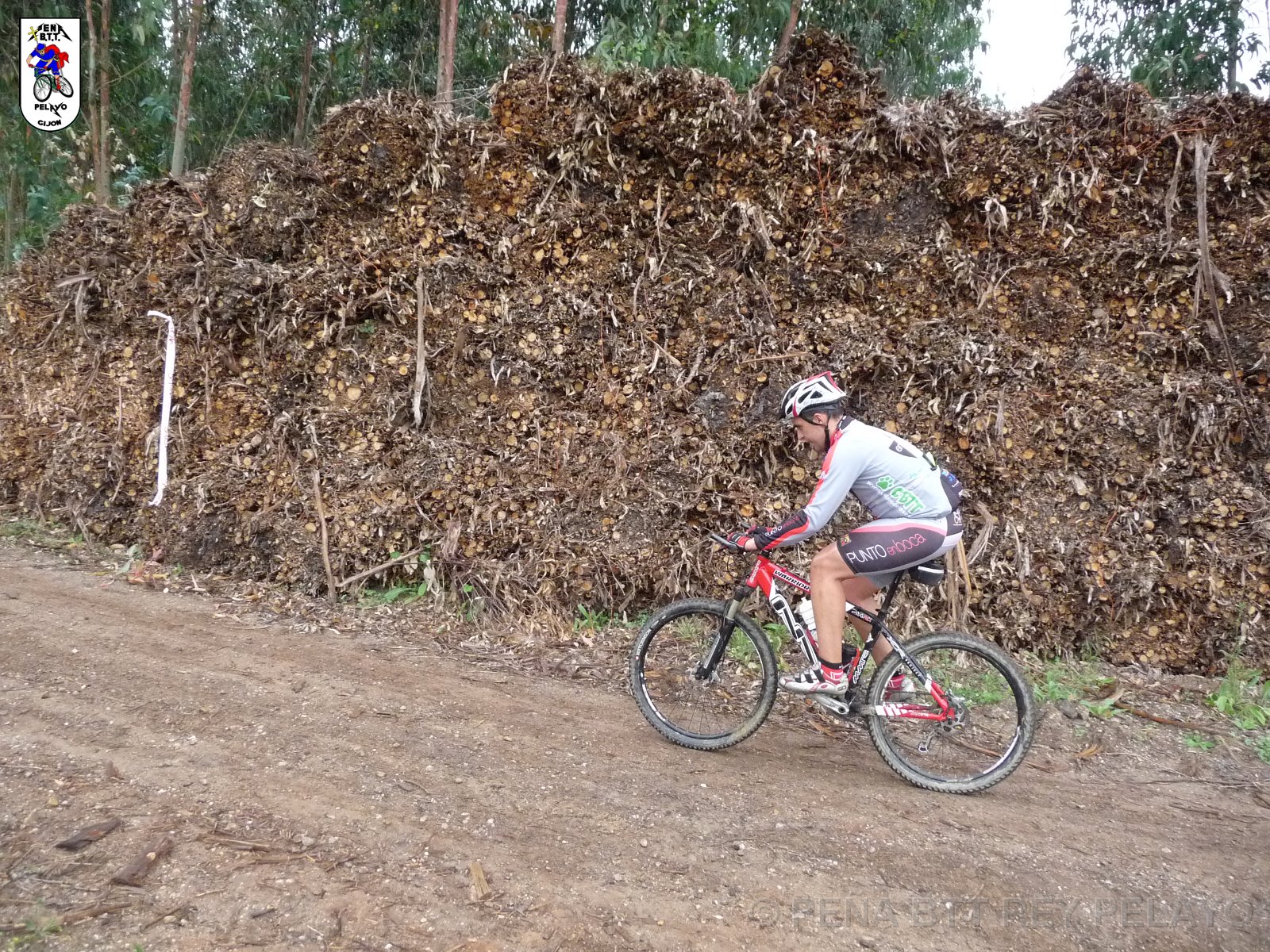 20110709164627_pr.JPG