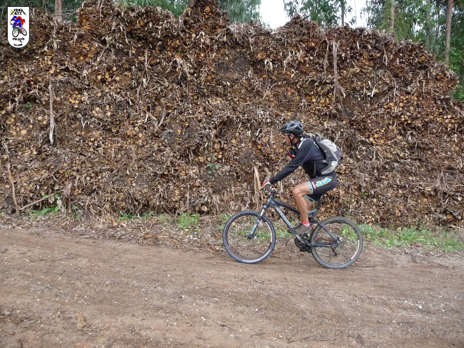 20110709164741_pr.JPG