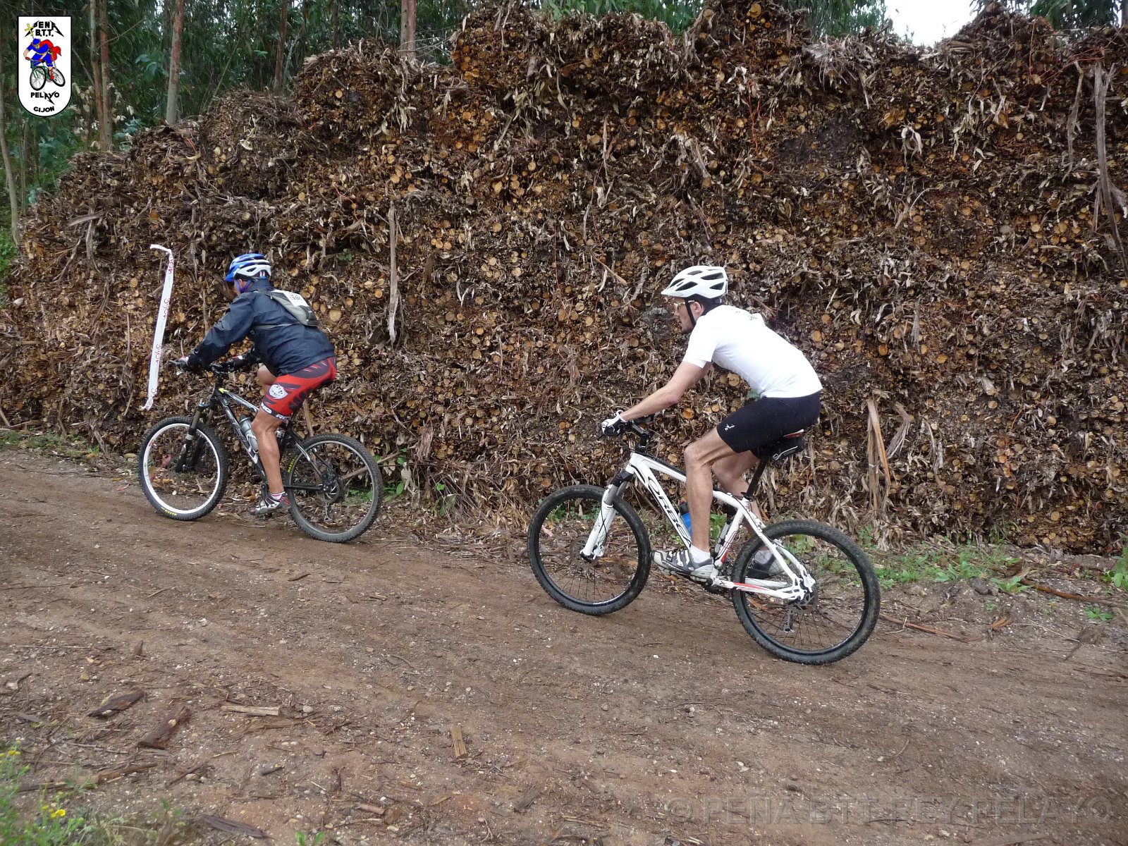 20110709164837_pr.JPG