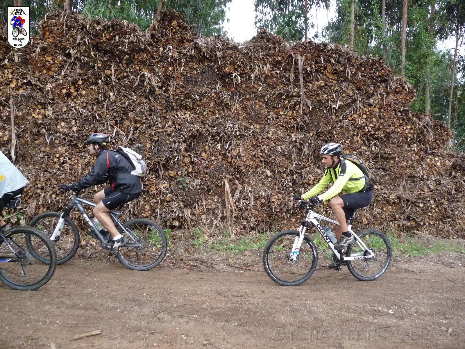 20110709165035_pr.JPG