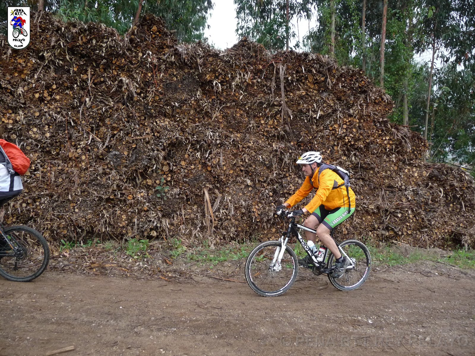 20110709165052_pr.JPG