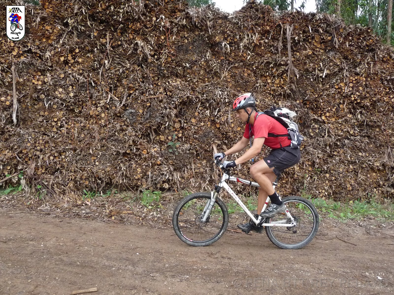 20110709165339_pr.JPG