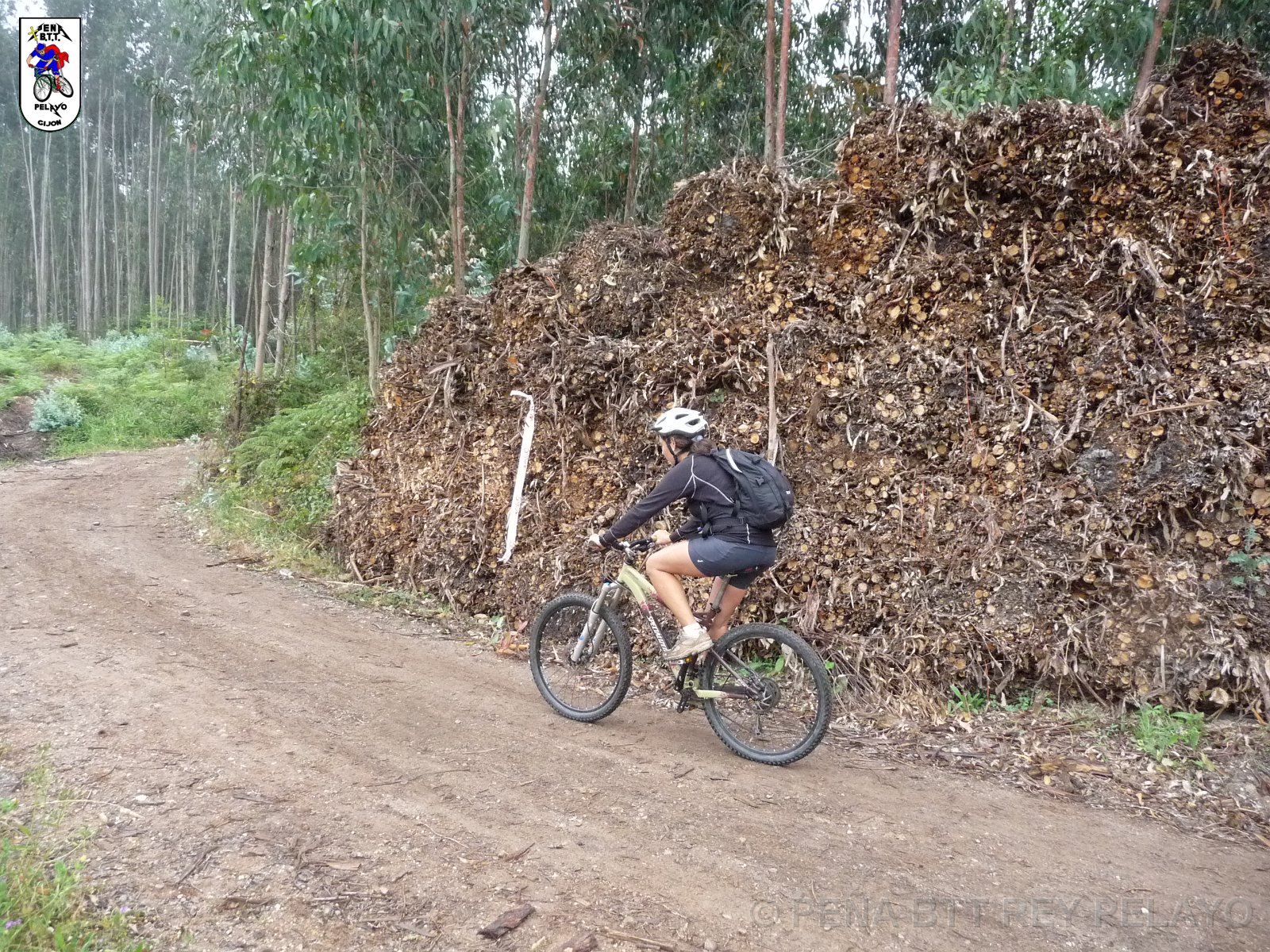 20110709165505_pr.JPG