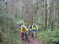 20110709165318_mc
