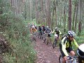 20110709165340_mc