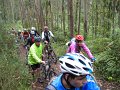 20110709165445_mc
