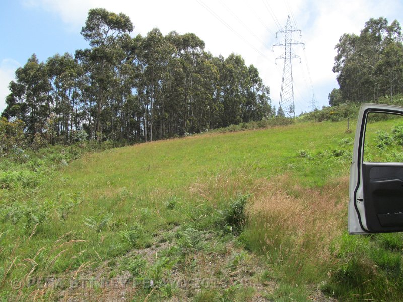 20130704143008_FGP.JPG - XX Vuelta al Concejo de Gijón