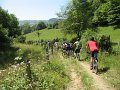 20130706121952_MC