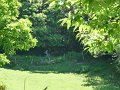 20130706124725_JM