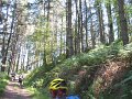 20130706125302_MC