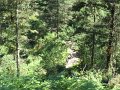 20130706125552_MC