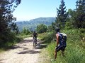 20130706144438_JE