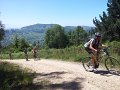 20130706144859_JE