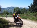 20130706145058_JE