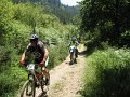 20130706151902_MC