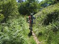 20130706153338_MC