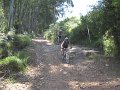 20130706154100_SM