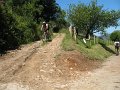 20130706154203_MC