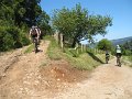 20130706154315_MC