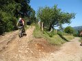 20130706154525_MC