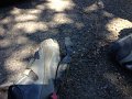 20130706162936_AAC