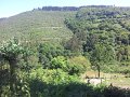 20130706165334_JE