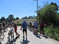 20130706164543_FGP