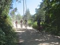 20130706174708_MC