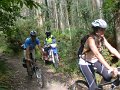 06_entre_veranes_y_pinzales