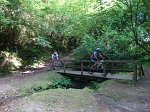 20150704-093805-AVG