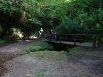 20150704-093843-AVG