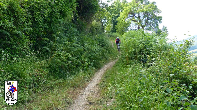 20150704-101236-PR.JPG