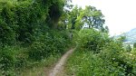 20150704-101131-PR