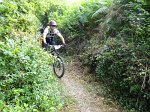 20150704-101047-AVG