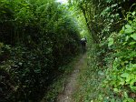 20150704-101055-AVG