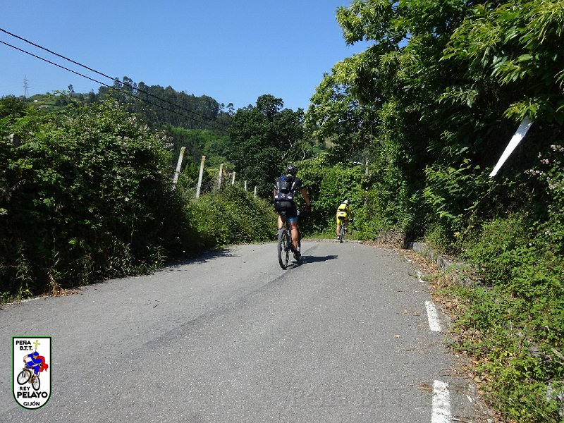 20150704-121631-AVG.JPG