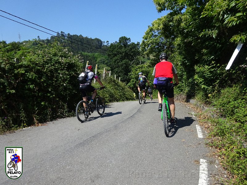 20150704-121634-AVG.JPG
