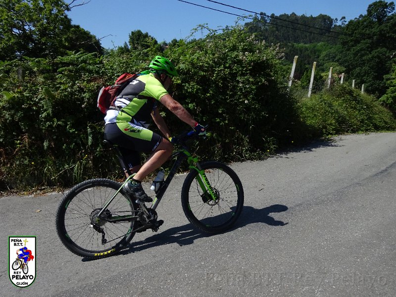 20150704-121643-AVG.JPG