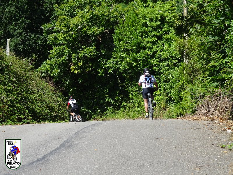 20150704-121703-AVG.JPG