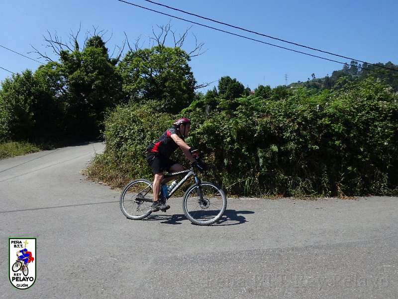 20150704-121740-AVG.JPG