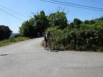 20150704-121813-AVG
