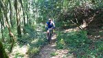 20150704-130326-PR