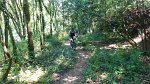 20150704-130539-PR