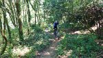20150704-130555-PR