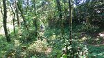 20150704-130733-PR