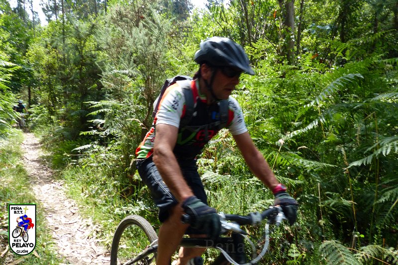 20150704-160956-PR.JPG