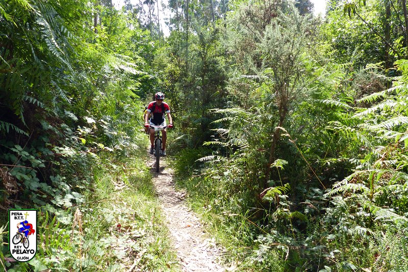 20150704-162013-PR.JPG