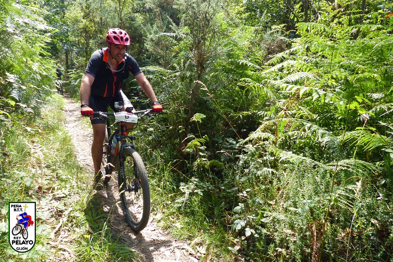 20150704-162703-PR.JPG