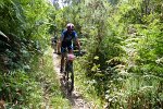 20150704-160454-PR