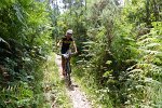 20150704-161318-PR